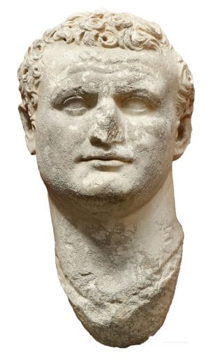 Titus Bust